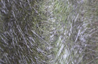 Foulsham fibreglass roof work